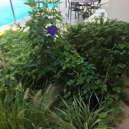 Studio Dans Proximite Mer Avec Piscine Bandol